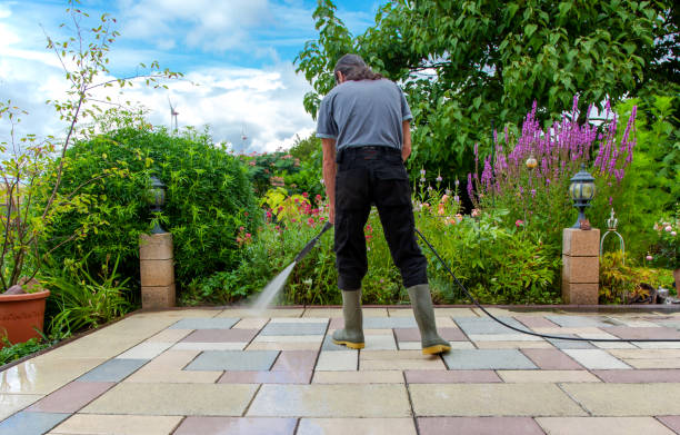 Animal Enclosure Cleaning in Alvin, TX